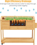 Raised Garden Beds Outdoor, Elevated Planter Box Cart On Lockable Wheels with Legs, Bed Liner,Storage Shelf,Seed Starter Tray for Backyard Patio Gardener Winter Outside (Minimalist Style)