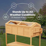 Raised Garden Beds Outdoor, Elevated Planter Box Cart On Lockable Wheels with Legs, Bed Liner,Storage Shelf,Seed Starter Tray for Backyard Patio Gardener Winter Outside (Minimalist Style)