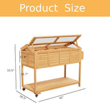 Raised Garden Beds Outdoor, Elevated Planter Box Cart On Lockable Wheels with Legs, Bed Liner,Storage Shelf,Seed Starter Tray for Backyard Patio Gardener Winter Outside (Minimalist Style)