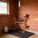 Wooden Chicken Perch Swing Set Roosting Bars Hen Coop Activity Toy