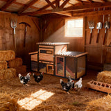 Outdoor Hen House Wooden Rabbit Hutch - Chicken Coop Run and Hutch for Backyard
