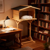 Outdoor Feral Cat Feeding Station & Shelter - Weatherproof Safe Haven for Cats